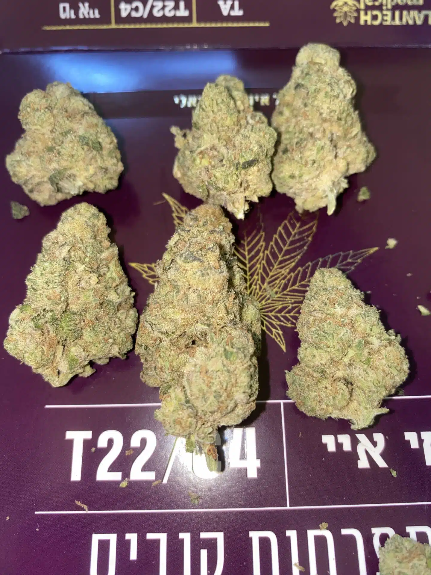 טי איי (ta) אינדיקה t22/c4