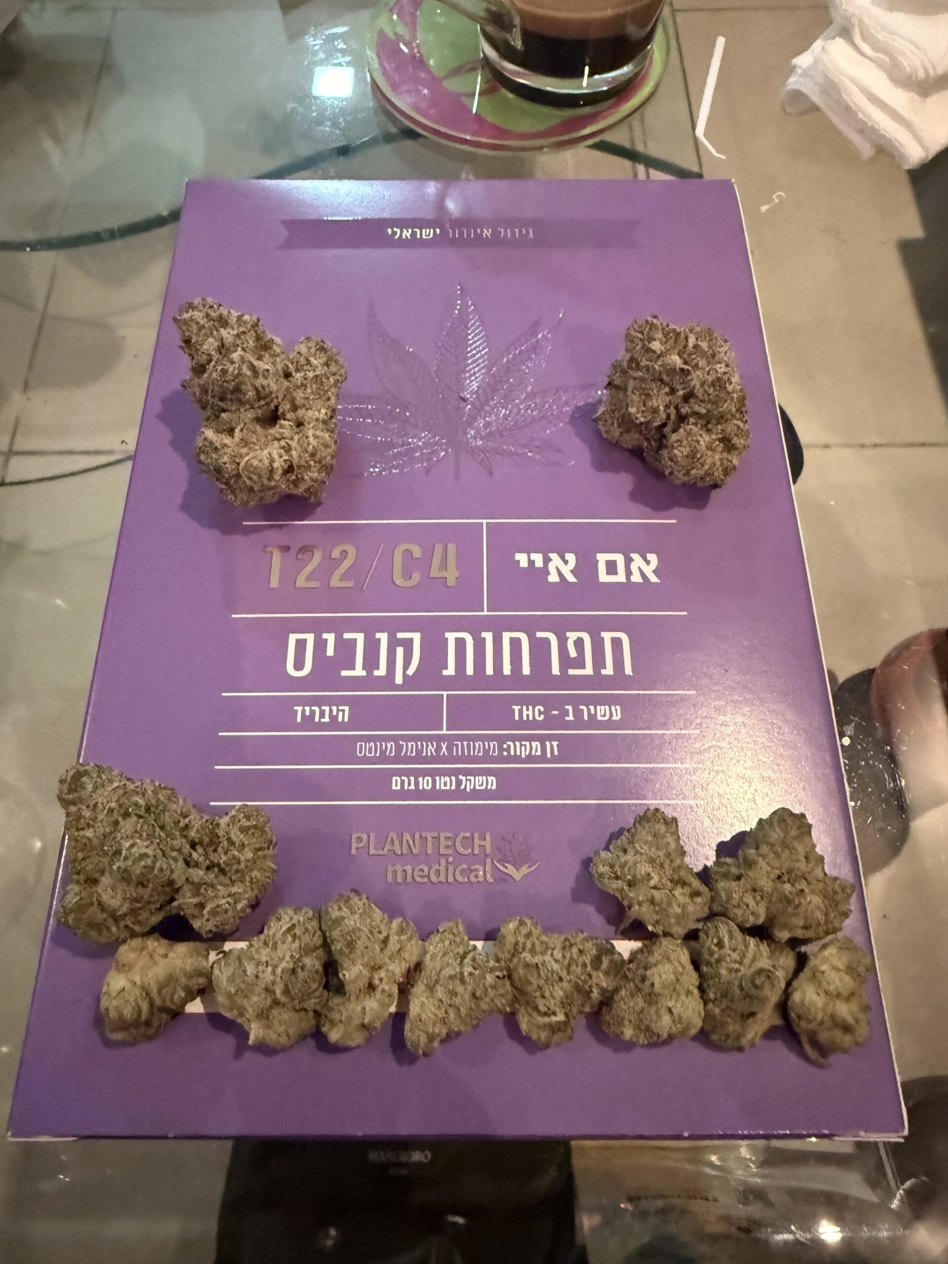 אם איי (ma) היבריד t22/c4