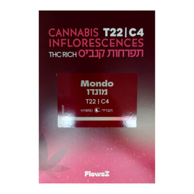 מונדו (mondo) היבריד t22/c4