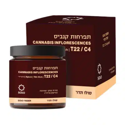 סולו תדר (solo teder) היבריד t22/c4