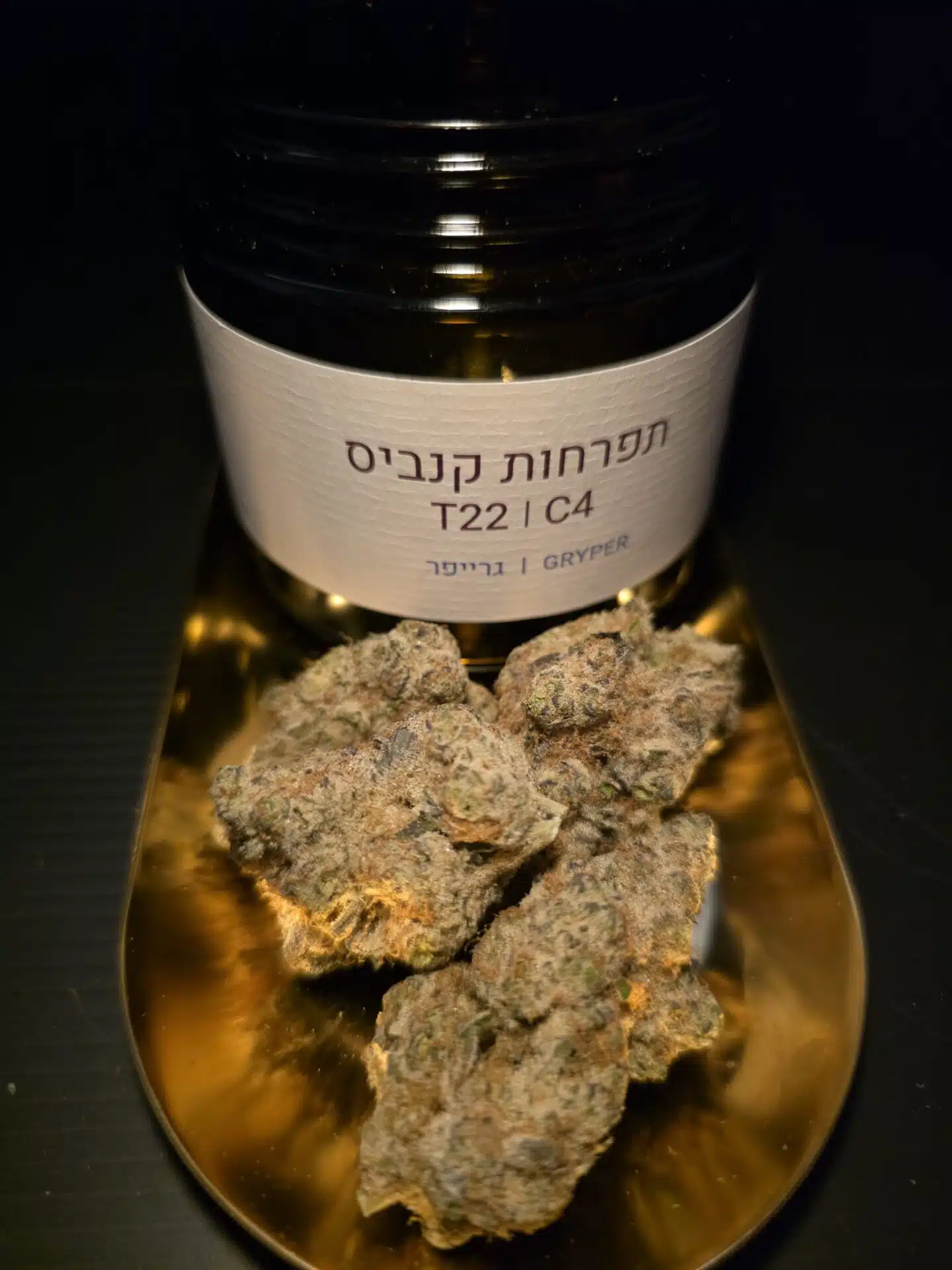 גרייפר (gryper) אינדיקה t22/c4