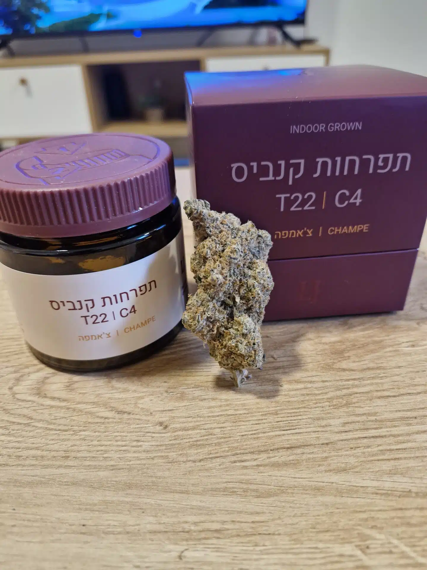 צ'אמפה (champe) אינדיקה t22/c4