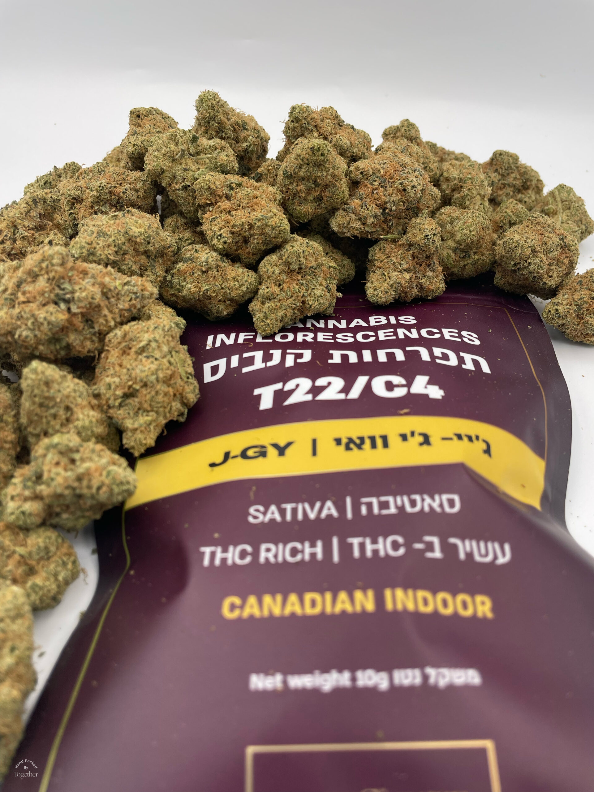 ג'יי ג'י וואי (j gy) סאטיבה t22/c4
