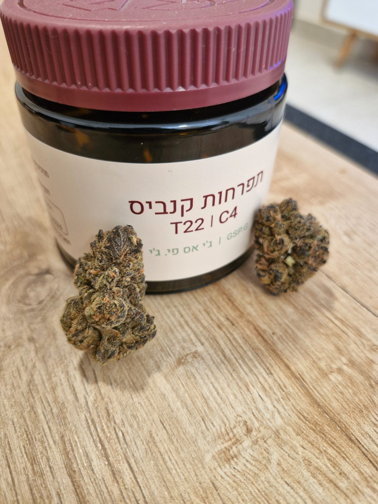 ג'י אס פי.ג'י (gsp.g) היבריד t22/c4