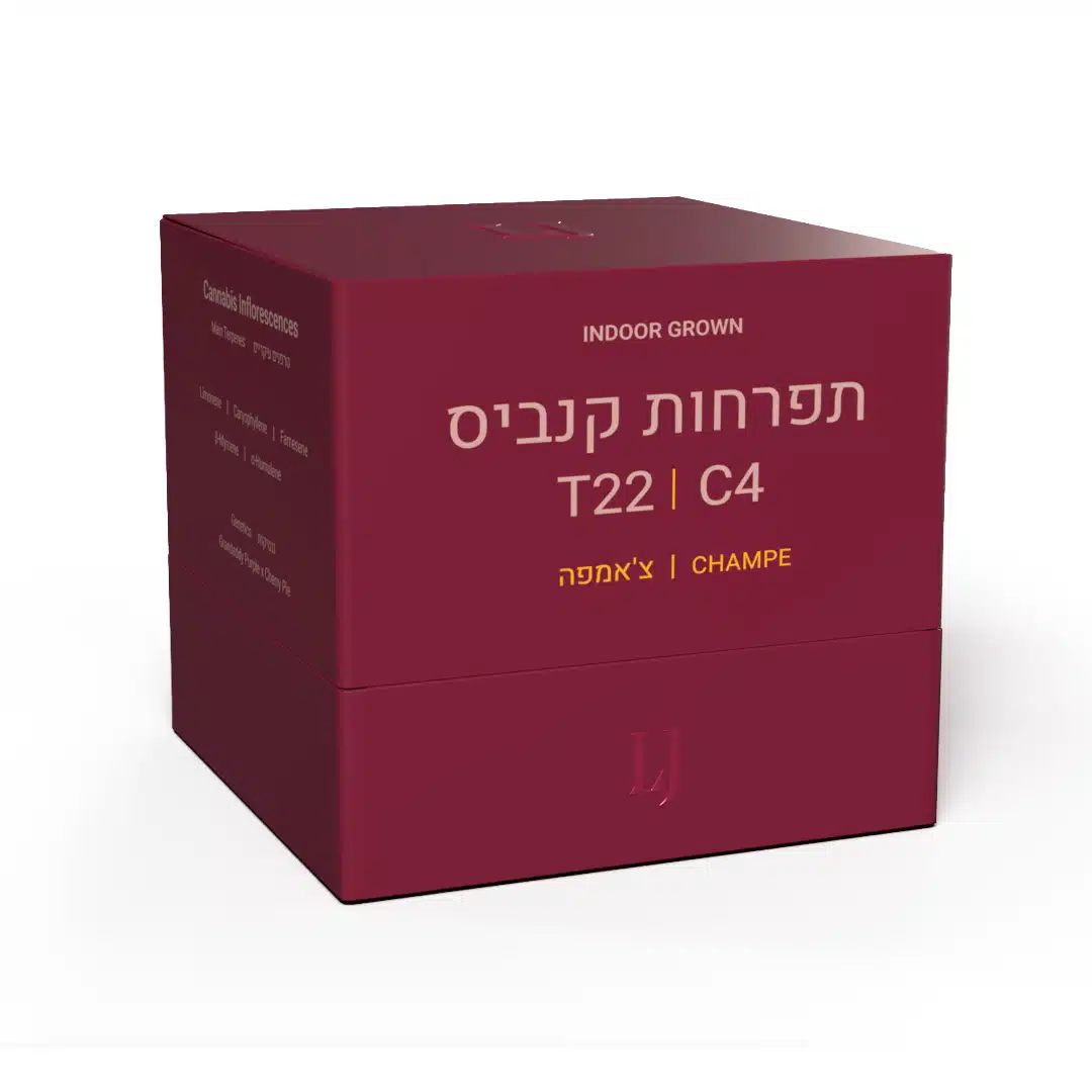צ'אמפה (Champe) - אינדיקה T22/C4