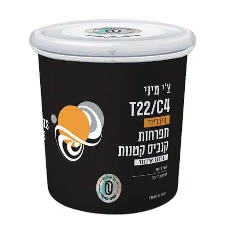אריזת פחית צ'י מיני (Chi Mini) - היבריד T22/C4