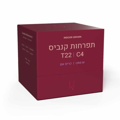 כריס אם (Cris M) - אינדיקה T22/C4