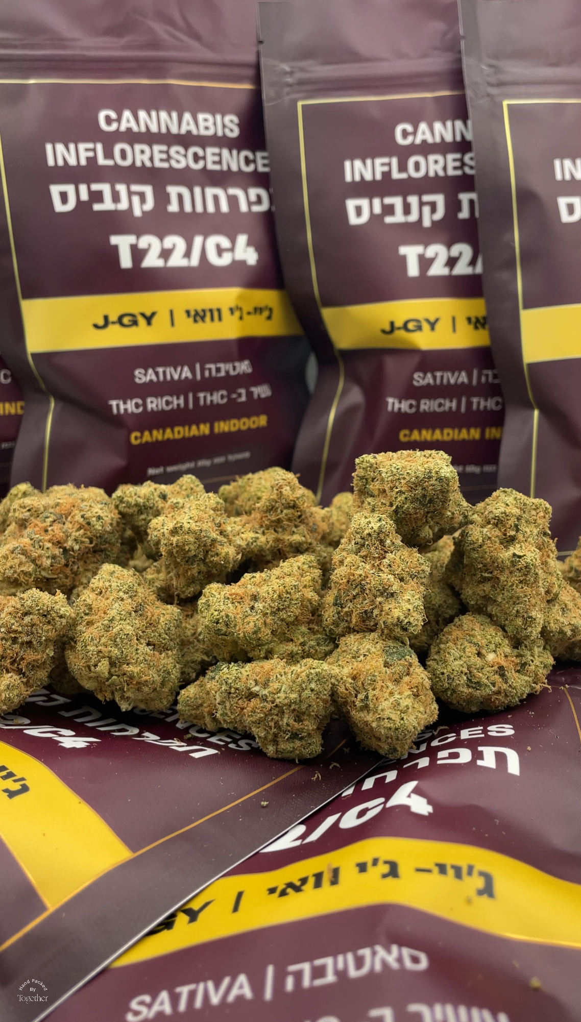 ג'יי ג'י וואי (j gy) סאטיבה t22/c4