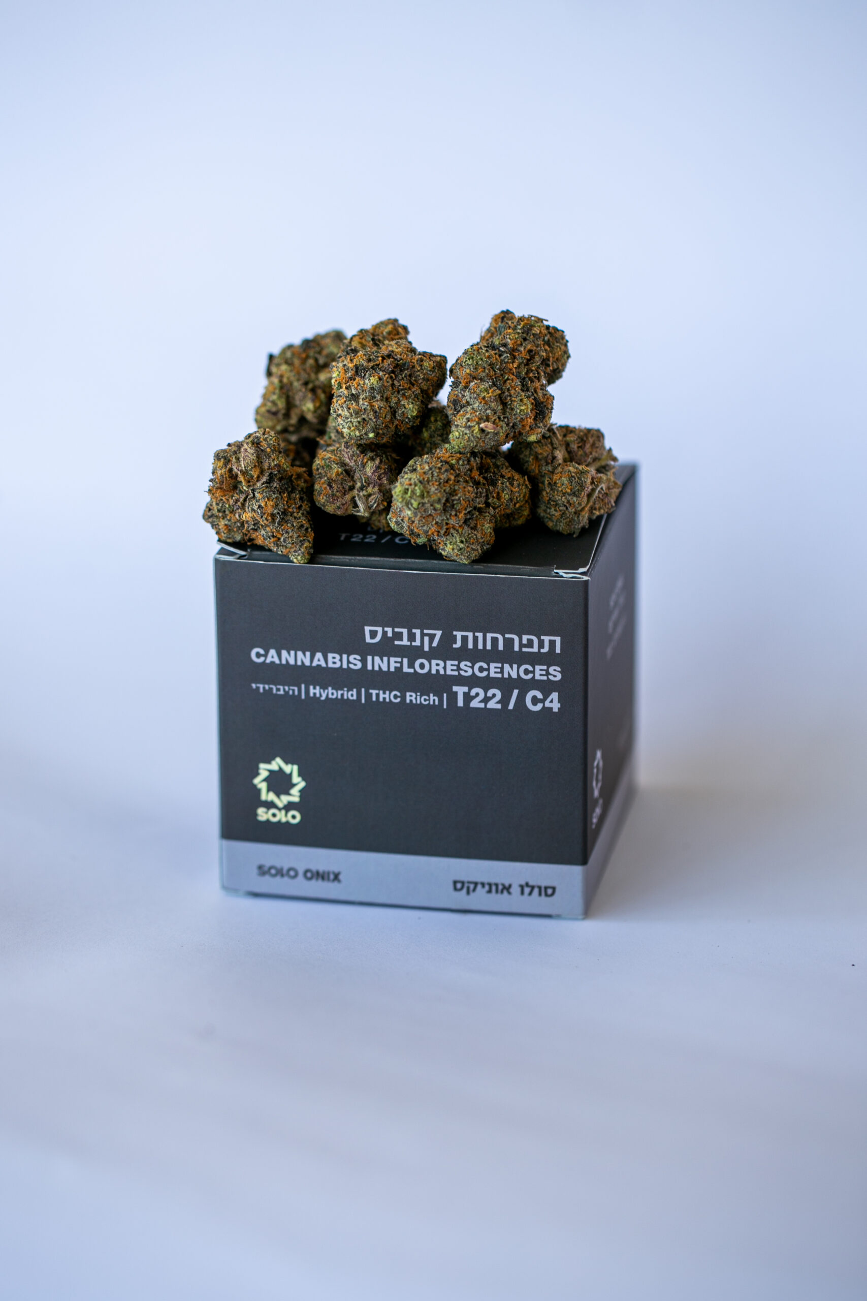 סולו אוניקס (solo onix) היבריד t22/c4