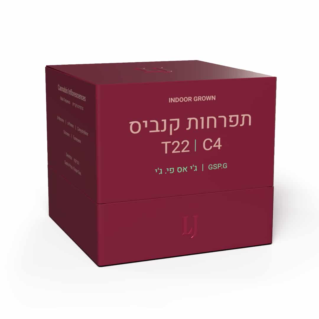 ג'י אס פי.ג'י (GSP.G) - היבריד T22/C4