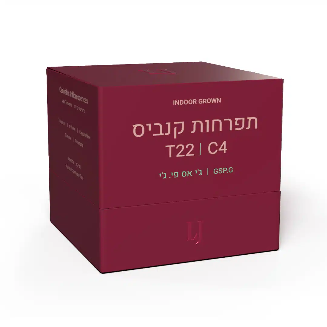 ג'י אס פי.ג'י (GSP.G) - היבריד T22/C4