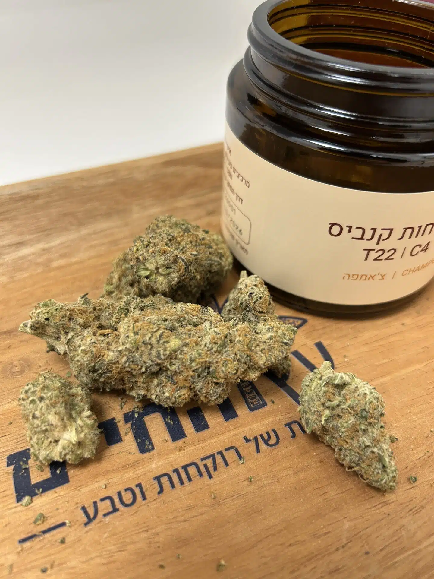 צ'אמפה (champe) אינדיקה t22/c4