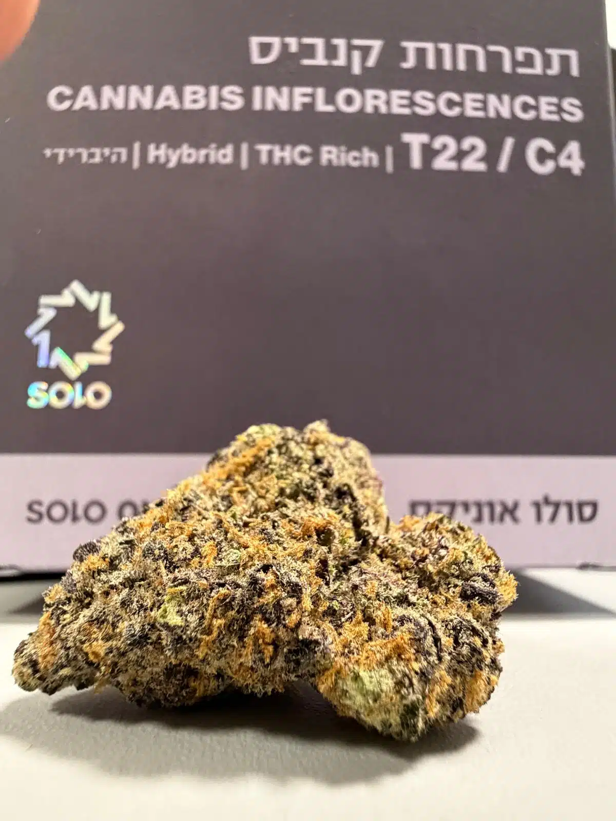סולו אוניקס (solo onix) היבריד t22/c4