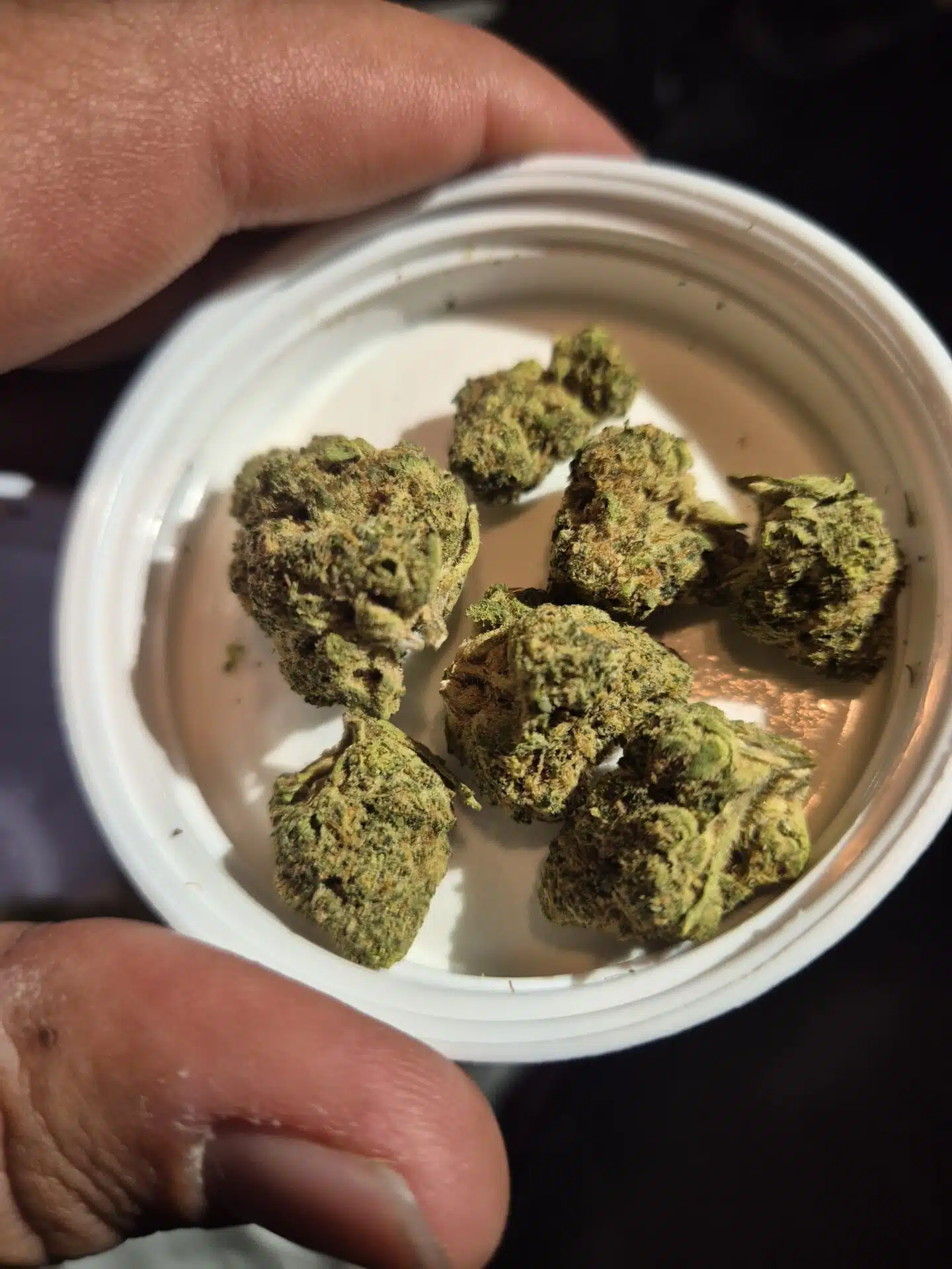 וויט קוש (white kush) אינדיקה t22/c4