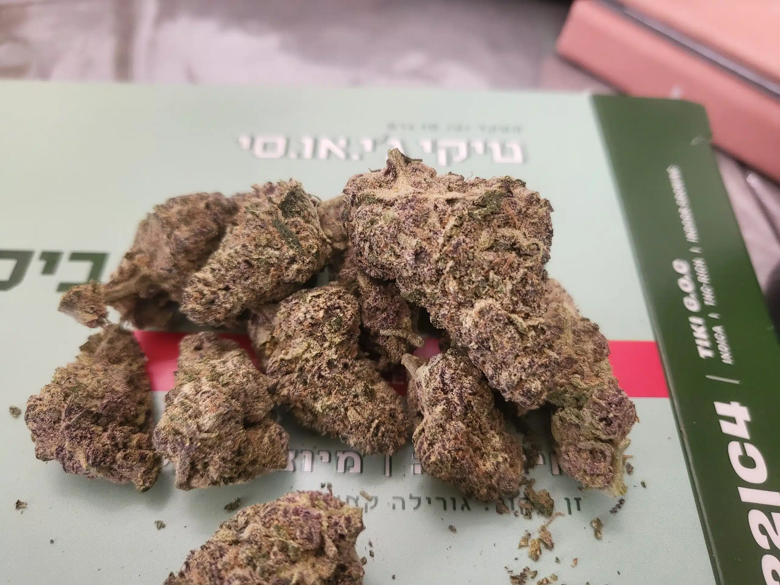 טיקי ג'י.או.סי (tiki g.o.c) אינדיקה t22/c4
