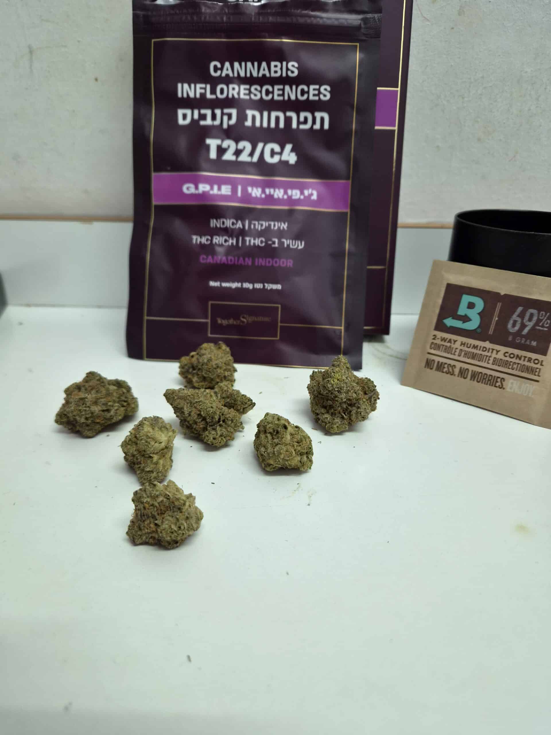 ג'י.פי.איי.אי (g.p.i.e) אינדיקה t22/c4
