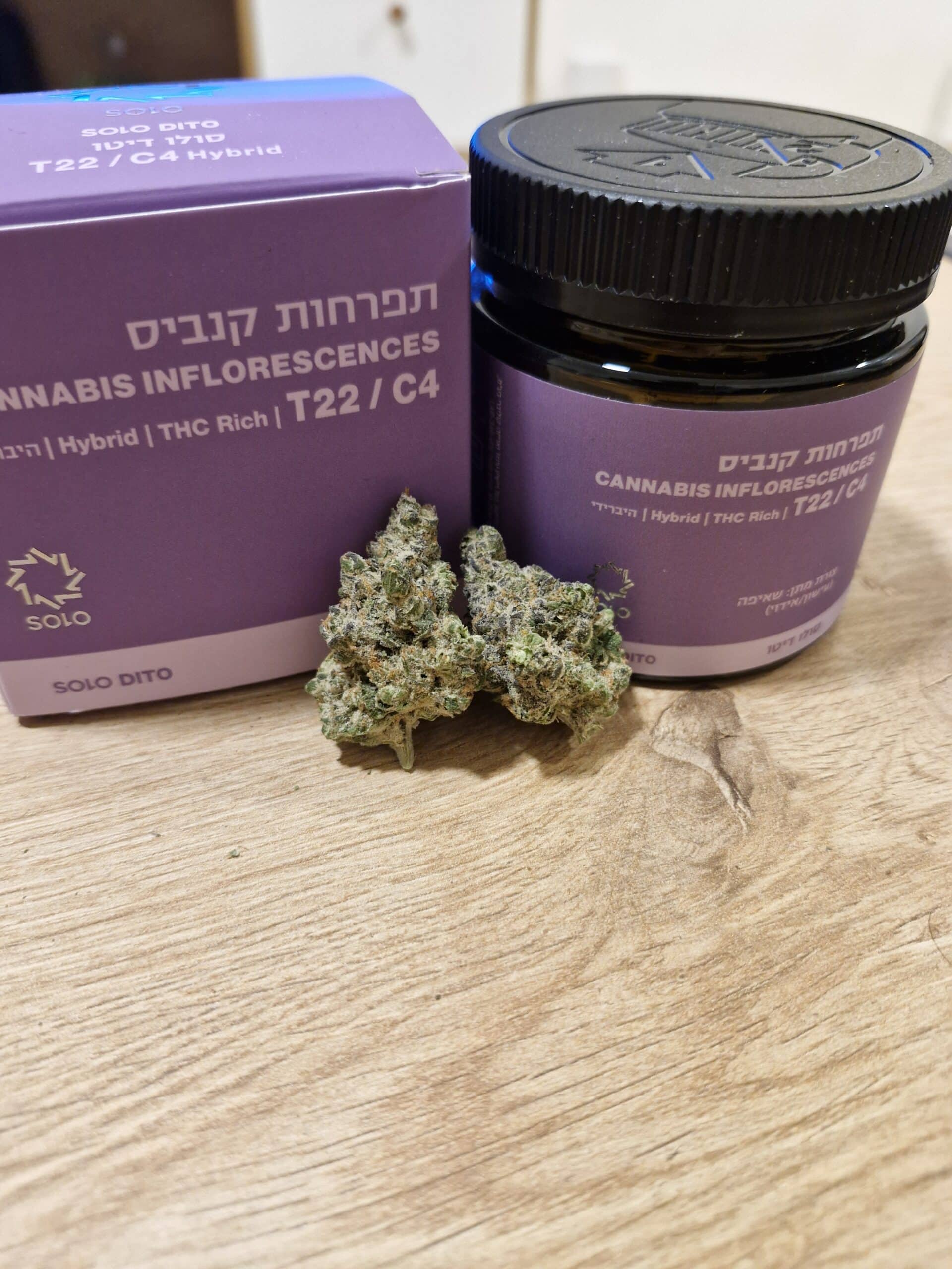 סולו דיטו (solo dito) היבריד t22/c4