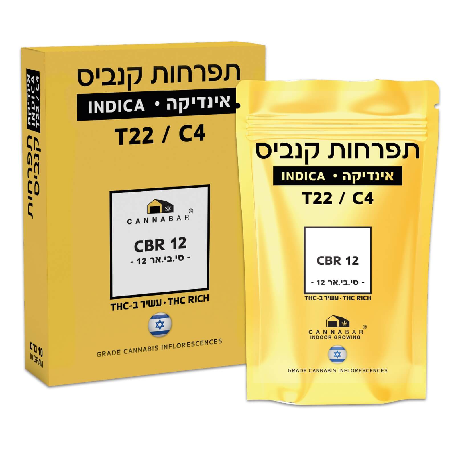 סי.בי.אר 12 (cbr 12) אינדיקה t22/c4