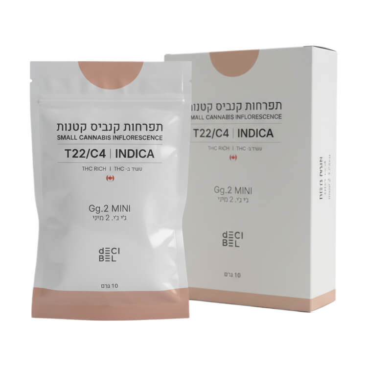 אריזת ג'י ג'י.2 מיני (Gg.2 Mini) - אינדיקה T22/C4