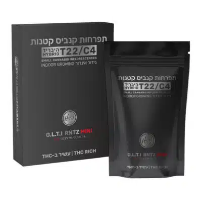 ג.ל.ט.י רנטז מיני (g.l.t.i rntz mini) היבריד t22/c4