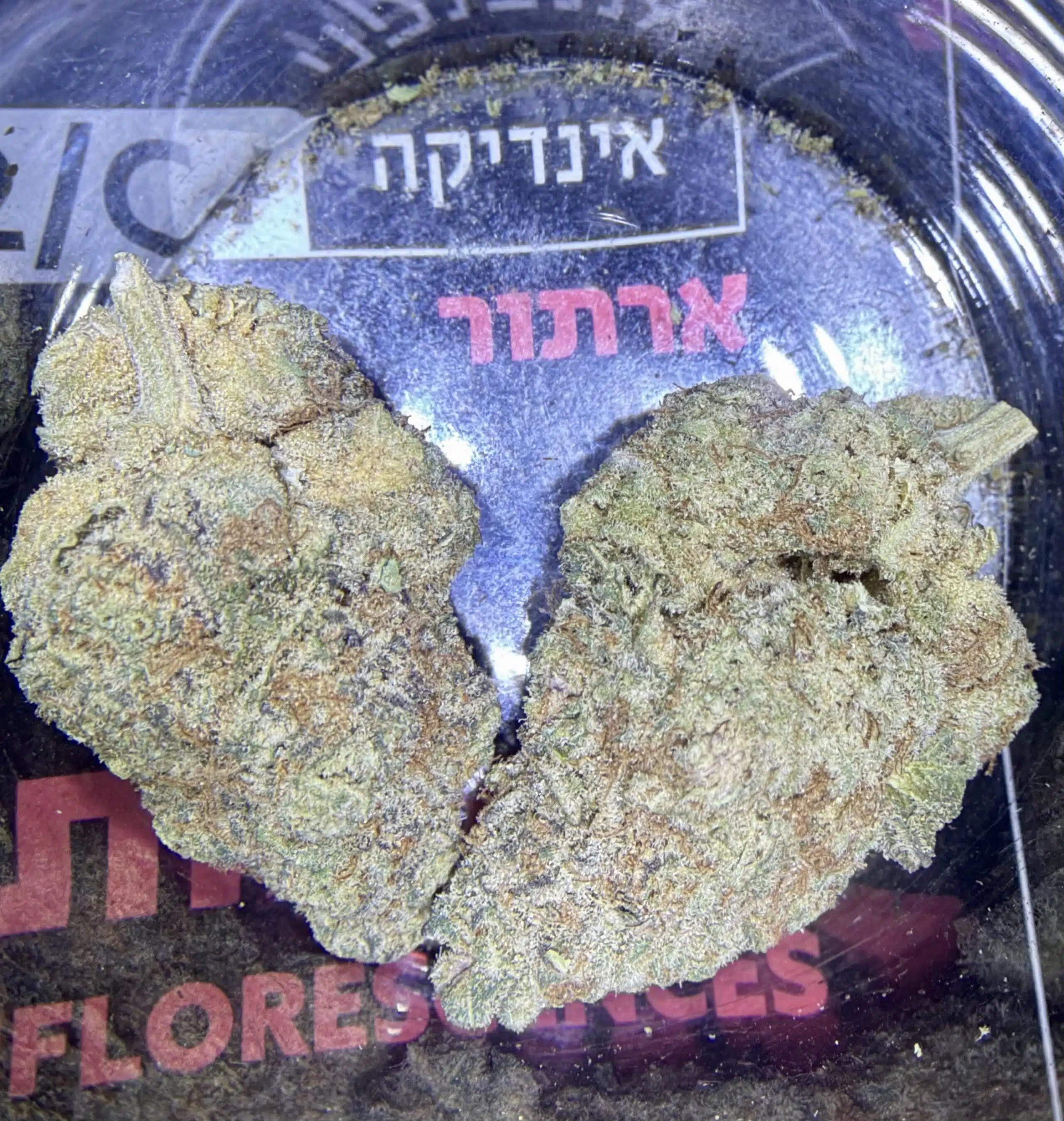 ארתור (arthur) אינדיקה t22/c4