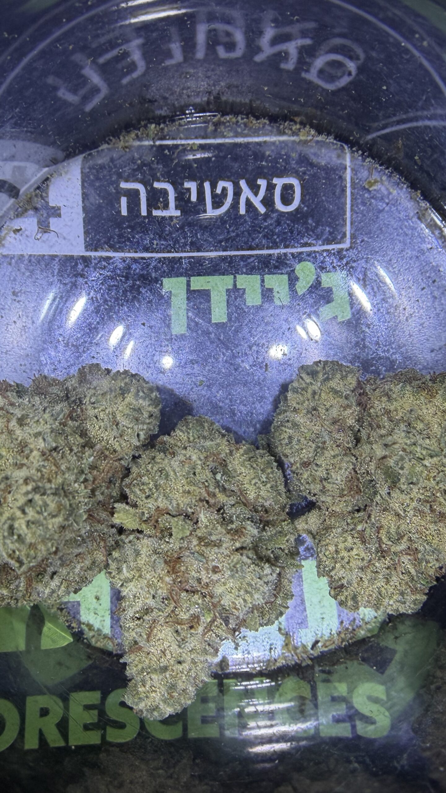 ג'יידן (jaden) סאטיבה t22/c4