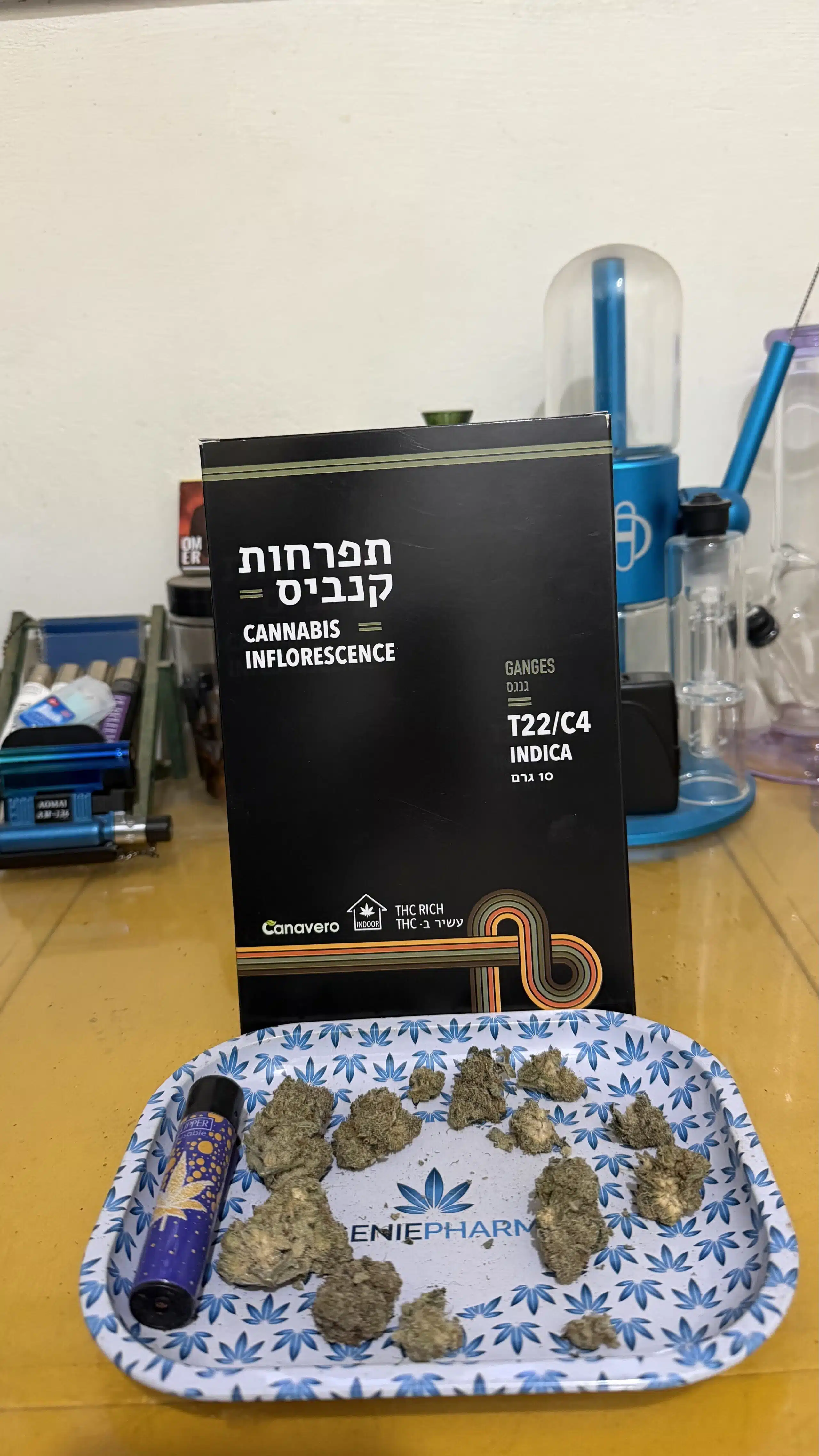 גנגס (ganges) אינדיקה t22/c4