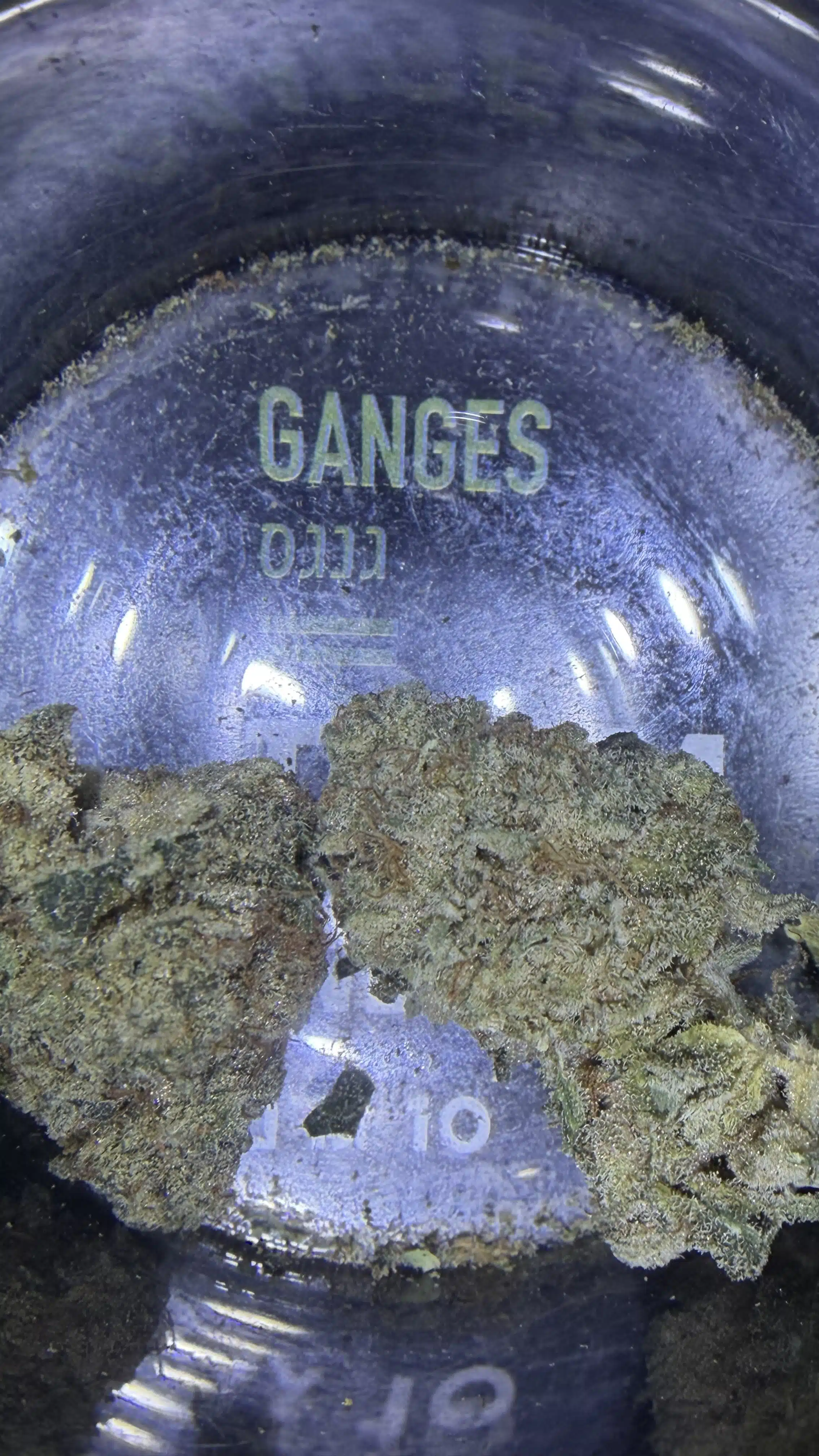 גנגס (ganges) אינדיקה t22/c4