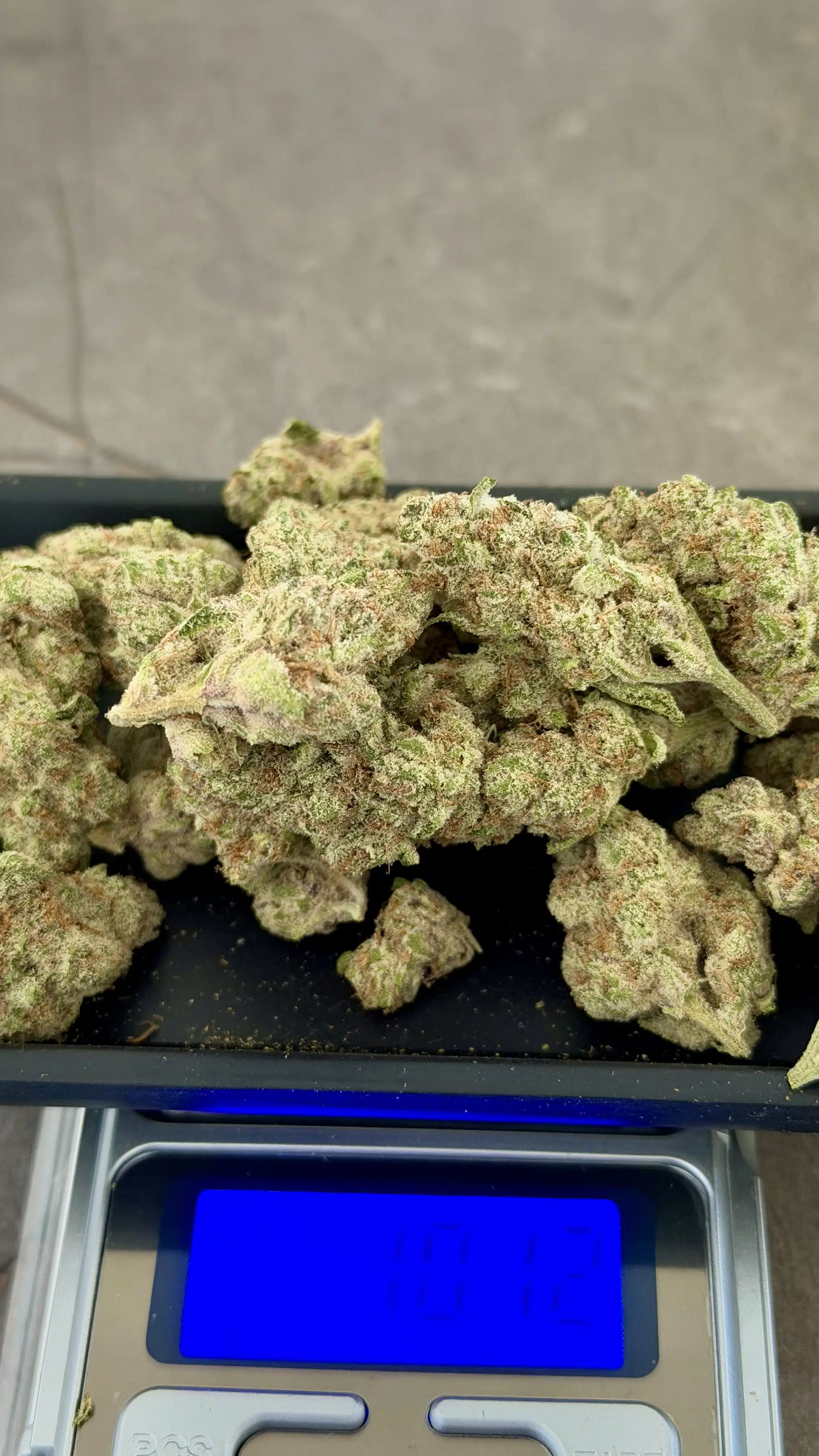 אל איי קוש (l.a kush) סאטיבה t10/c10