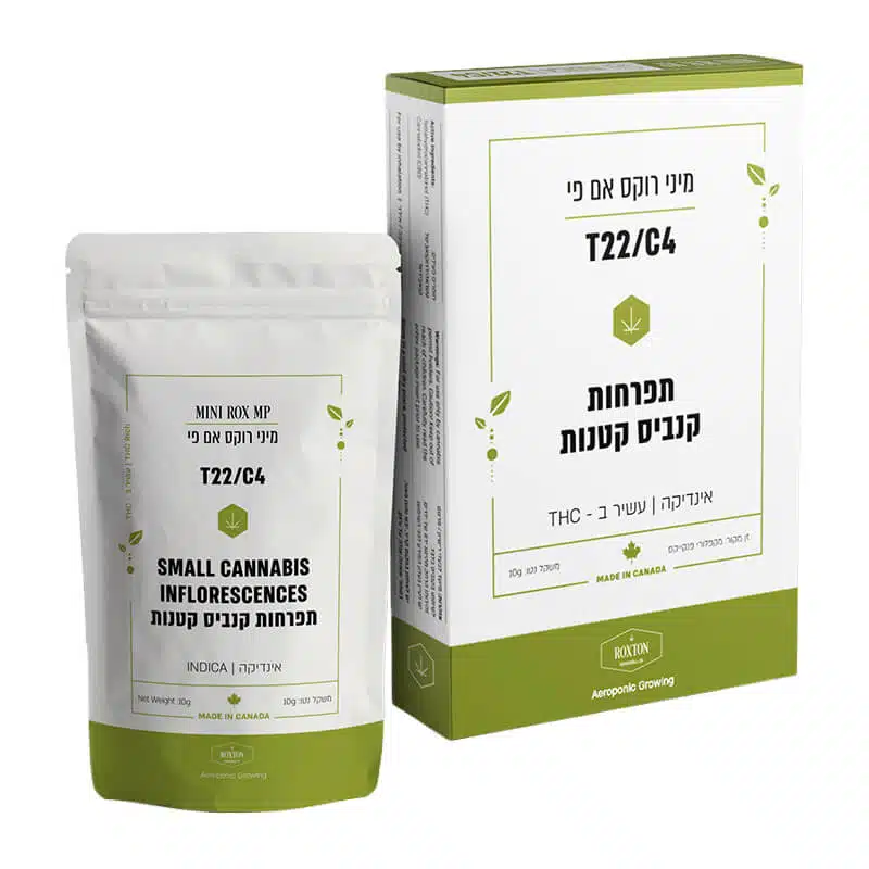 רוקס אם פי מיני (Rox MP Mini) - אינדיקה T22/C4