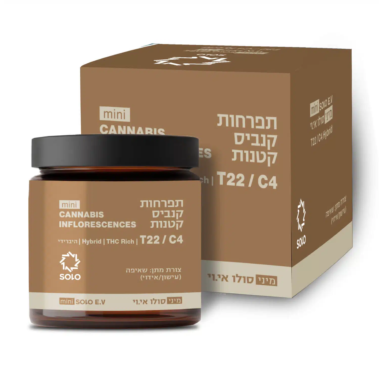 סולו אי.וי מיני (solo e.v. mini) היבריד t22/c4