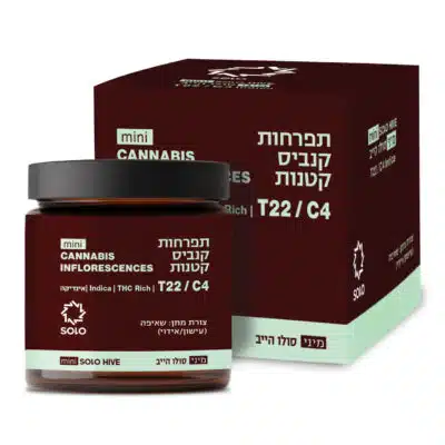 סולו הייב מיני (solo hive mini) אינדיקה t22/c4