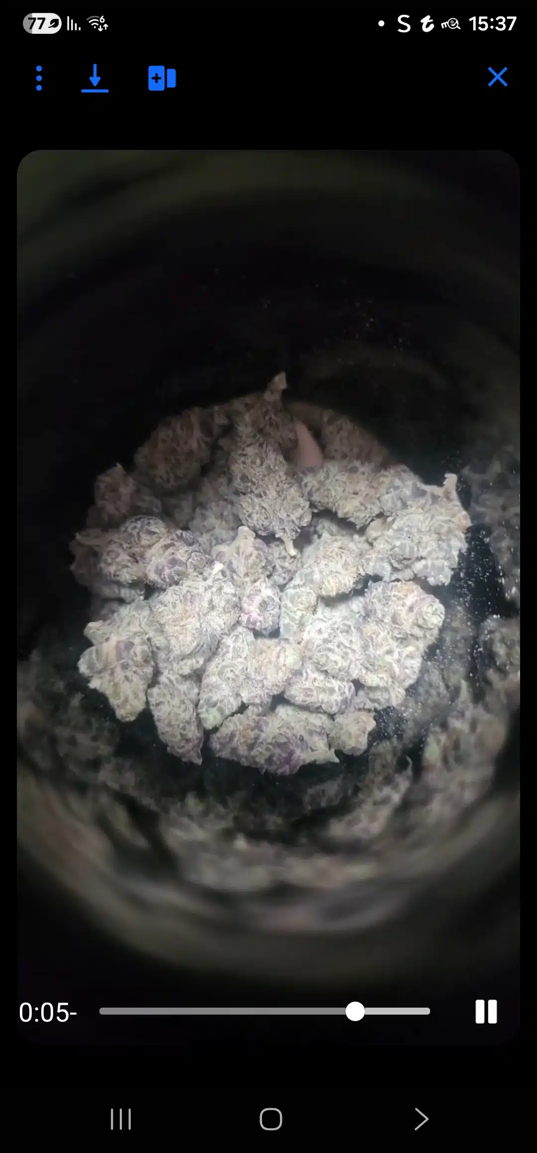 סולו לונה (solo luna) אינדיקה t22/c4