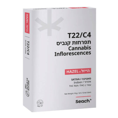 הייזל (Hazel) - סאטיבה T22/C4