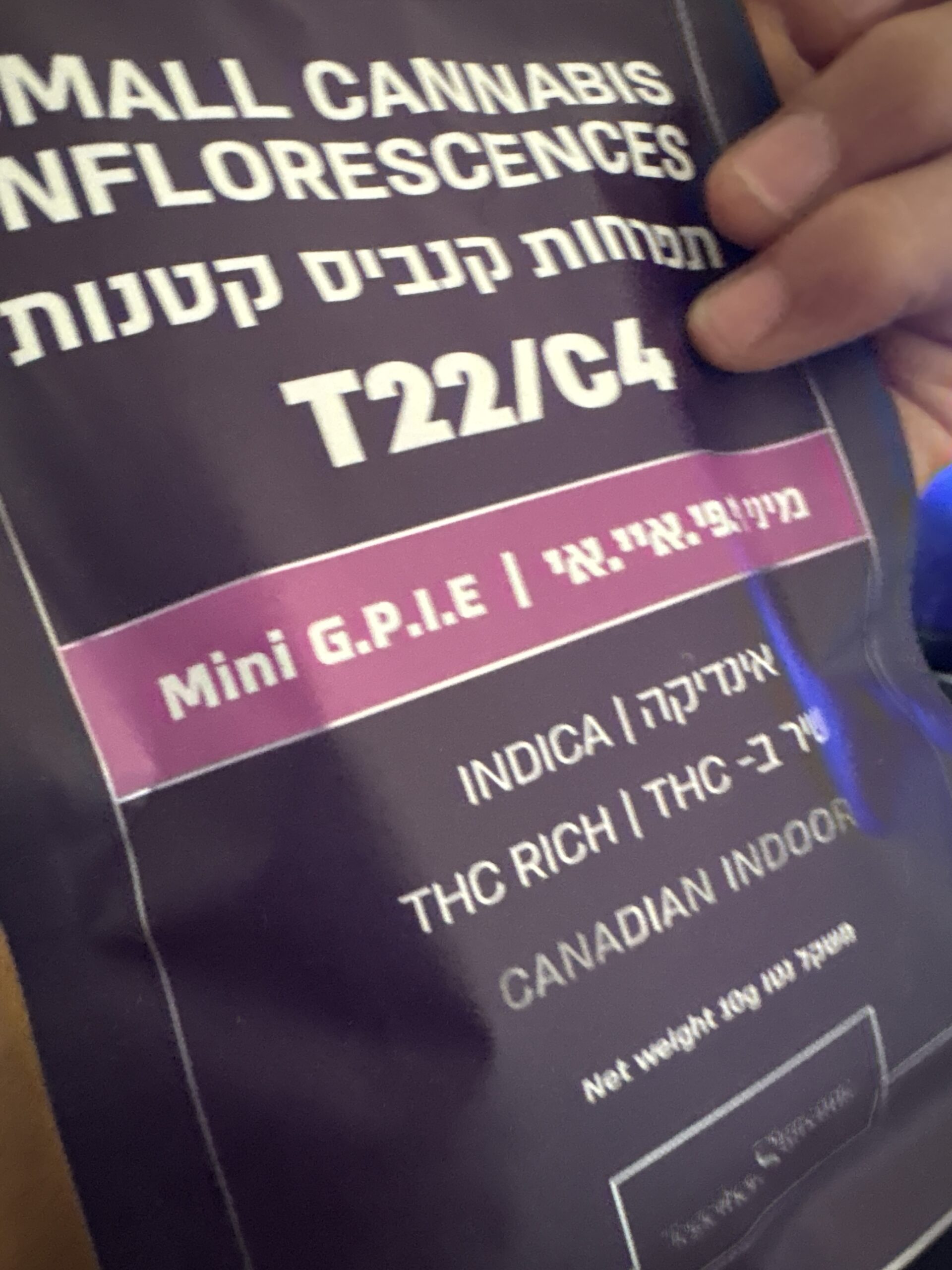ג'י.פי.איי.אי מיני (g.p.i.e mini) אינדיקה t22/c4