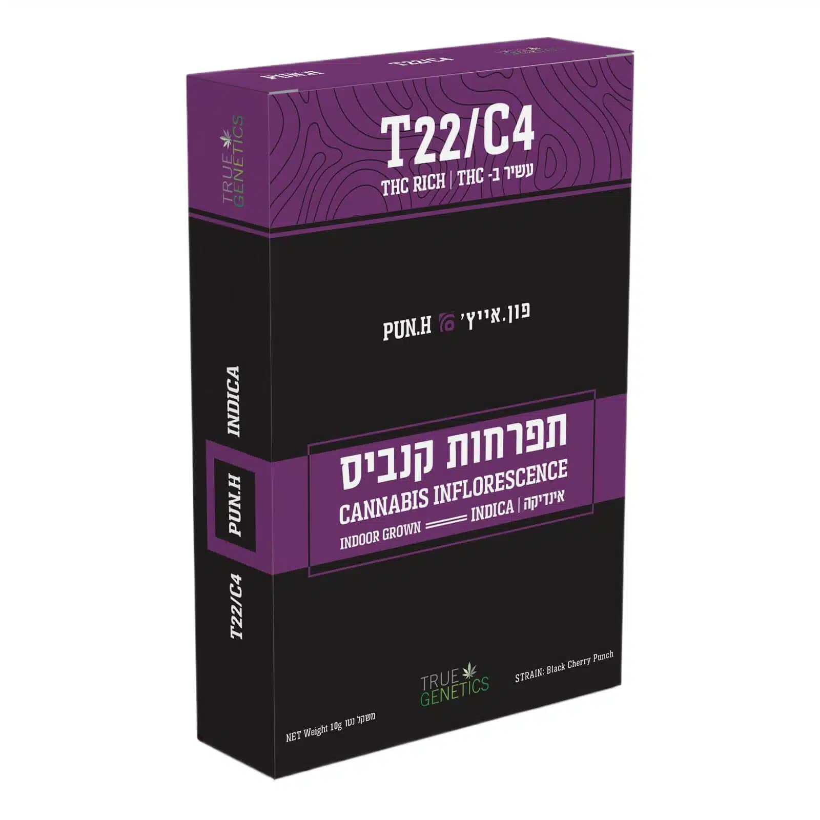 פון.אייץ' (Pun.H) - אינדיקה T22/C4