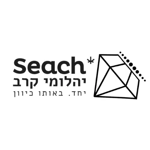 לוגו של יהלומי קרב (Battle Diamonds)