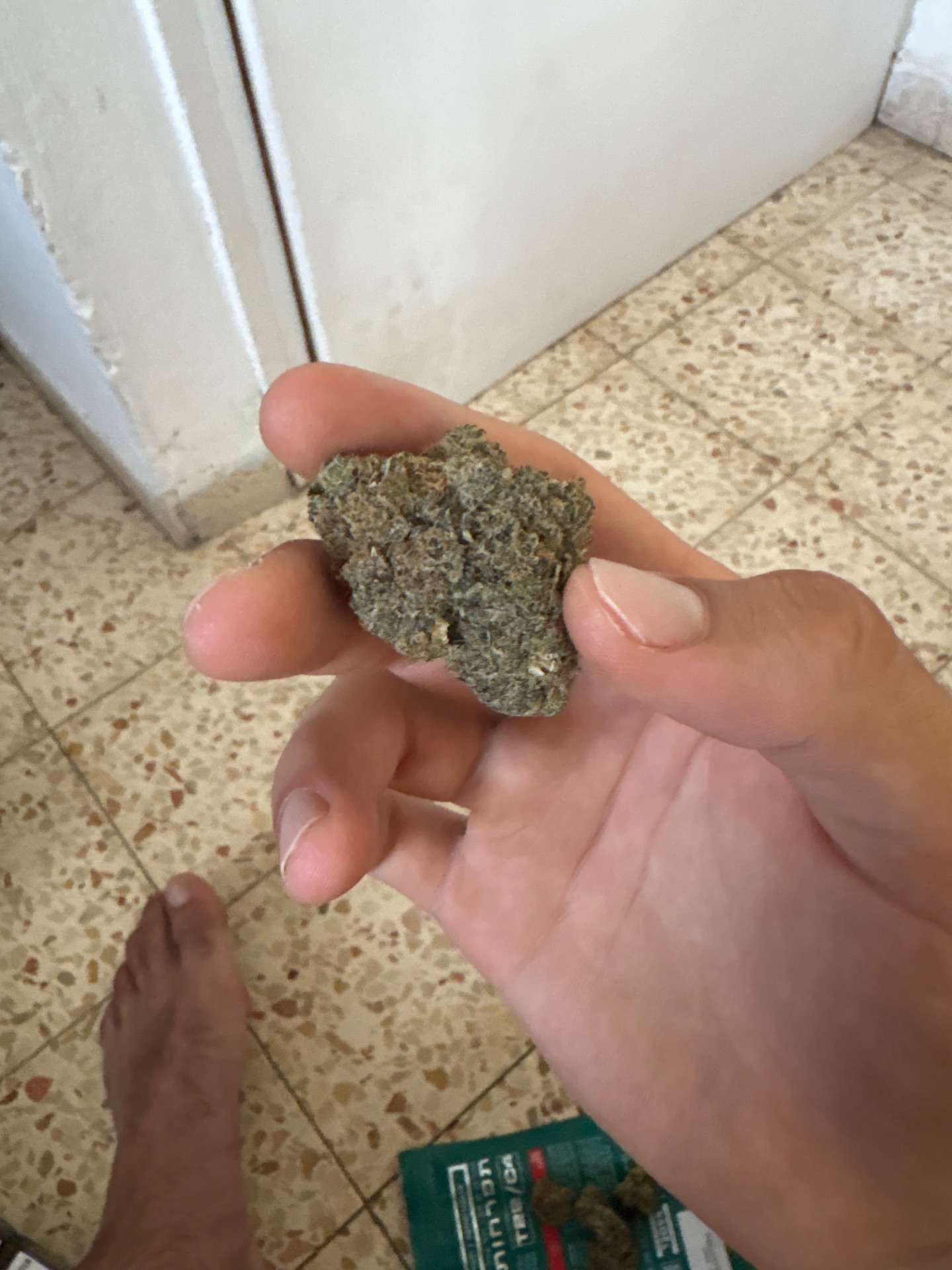 אסטרו לאשיז (astro lushiz) היבריד t22/c4