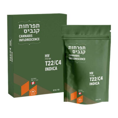 אם דבליו (MW) - אינדיקה T22/C4