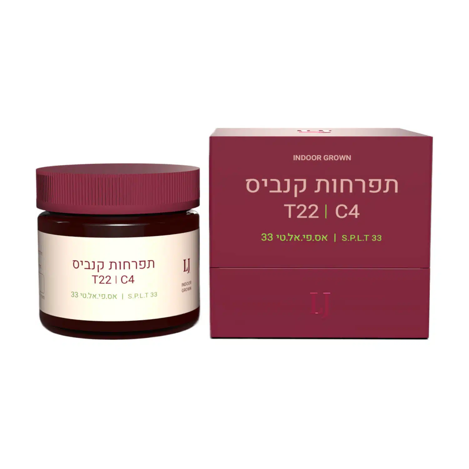 ס.פ.ל.ט 33 (s.p.l.t 33) אינדיקה t22/c4