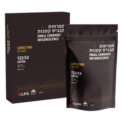 זמבזי מיני (zambezi mini) סאטיבה t22/c4
