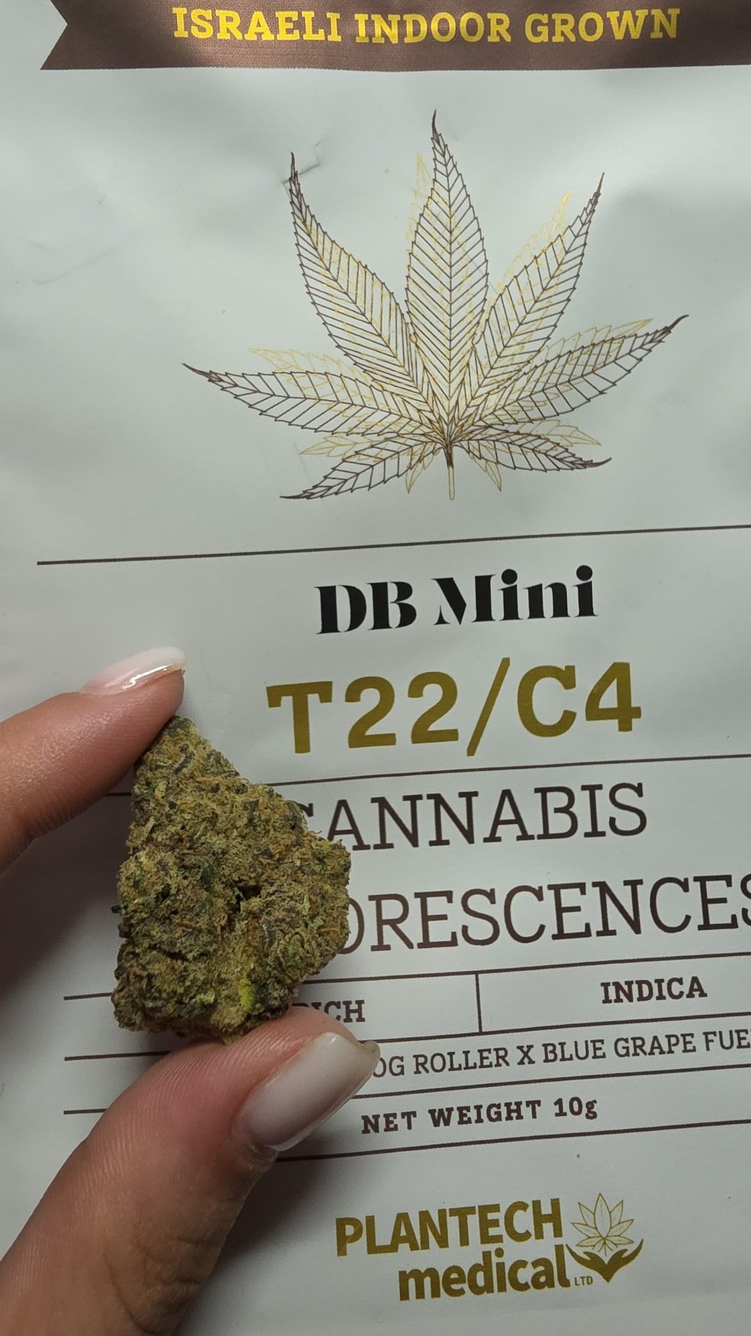 די בי מיני (db mini) אינדיקה t22/c4