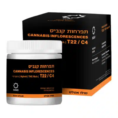 סולו אטלס (solo atlas) היבריד t22/c4