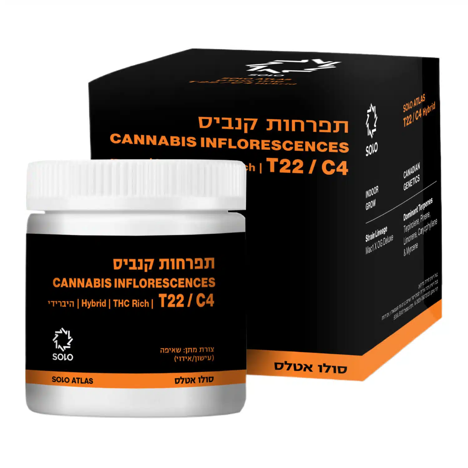 סולו אטלס (solo atlas) היבריד t22/c4