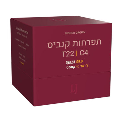 ג'י אר.פי (GR.P) - אינדיקה T22/C4