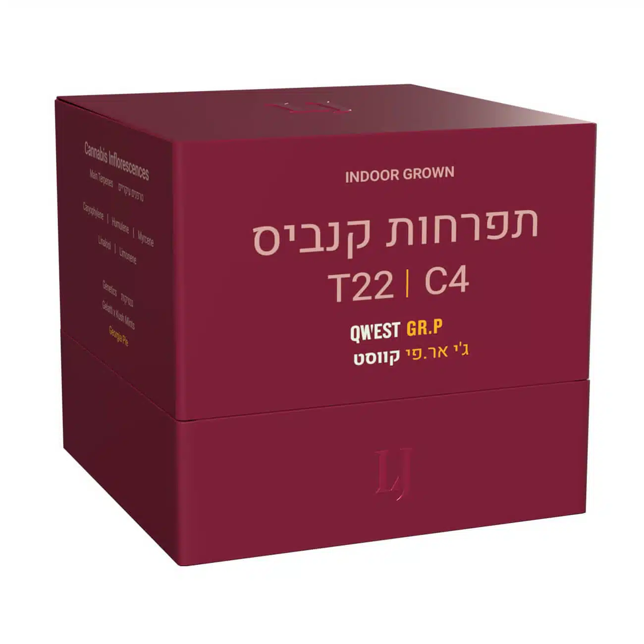 ג'י אר.פי (GR.P) - אינדיקה T22/C4