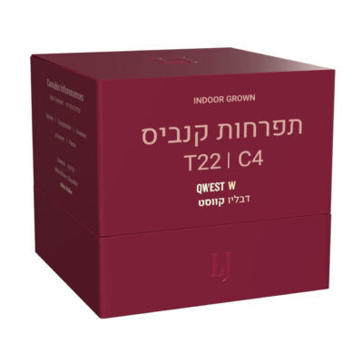 דבליו קווסט (Qwest W) - אינדיקה T22/C4