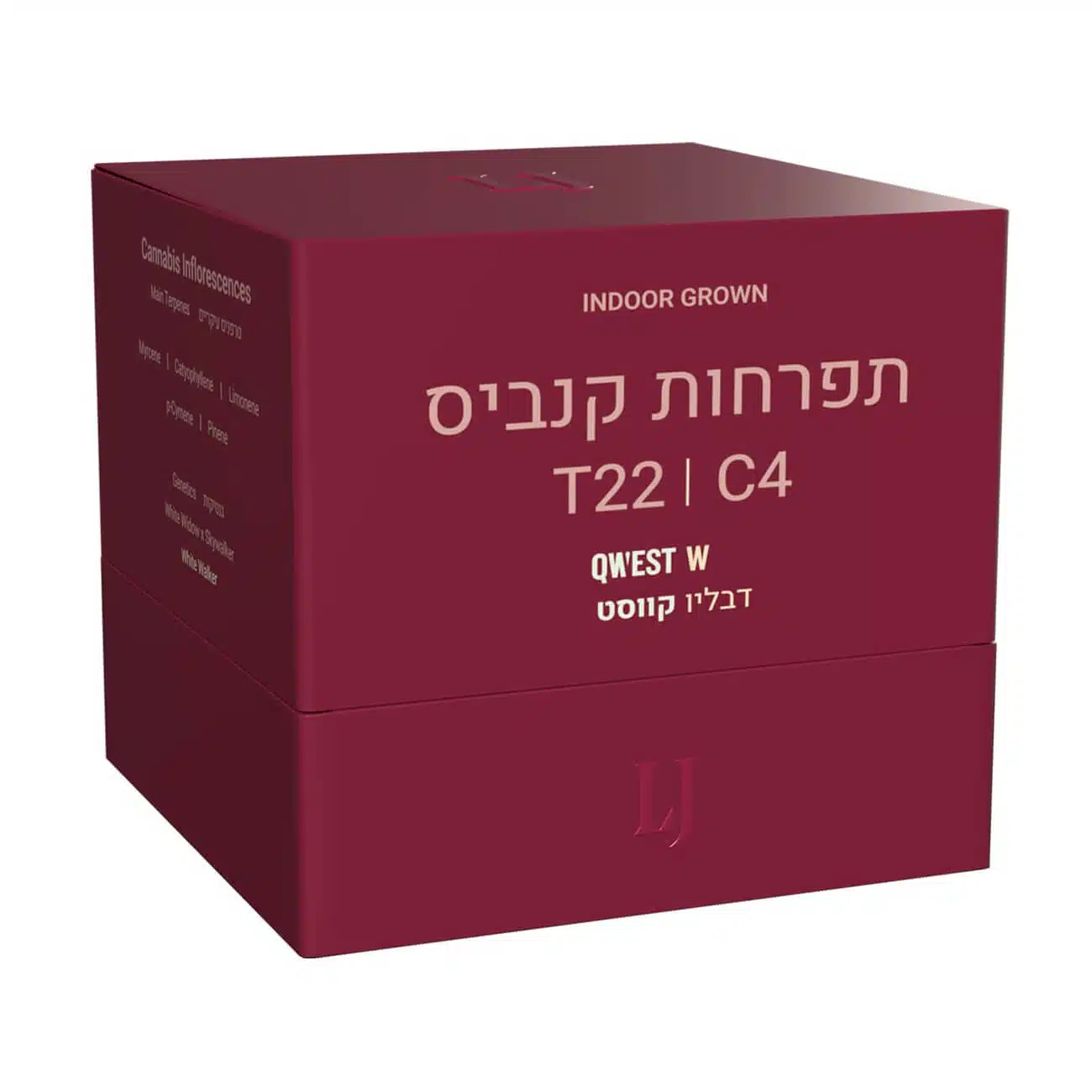 דבליו קווסט (Qwest W) - אינדיקה T22/C4
