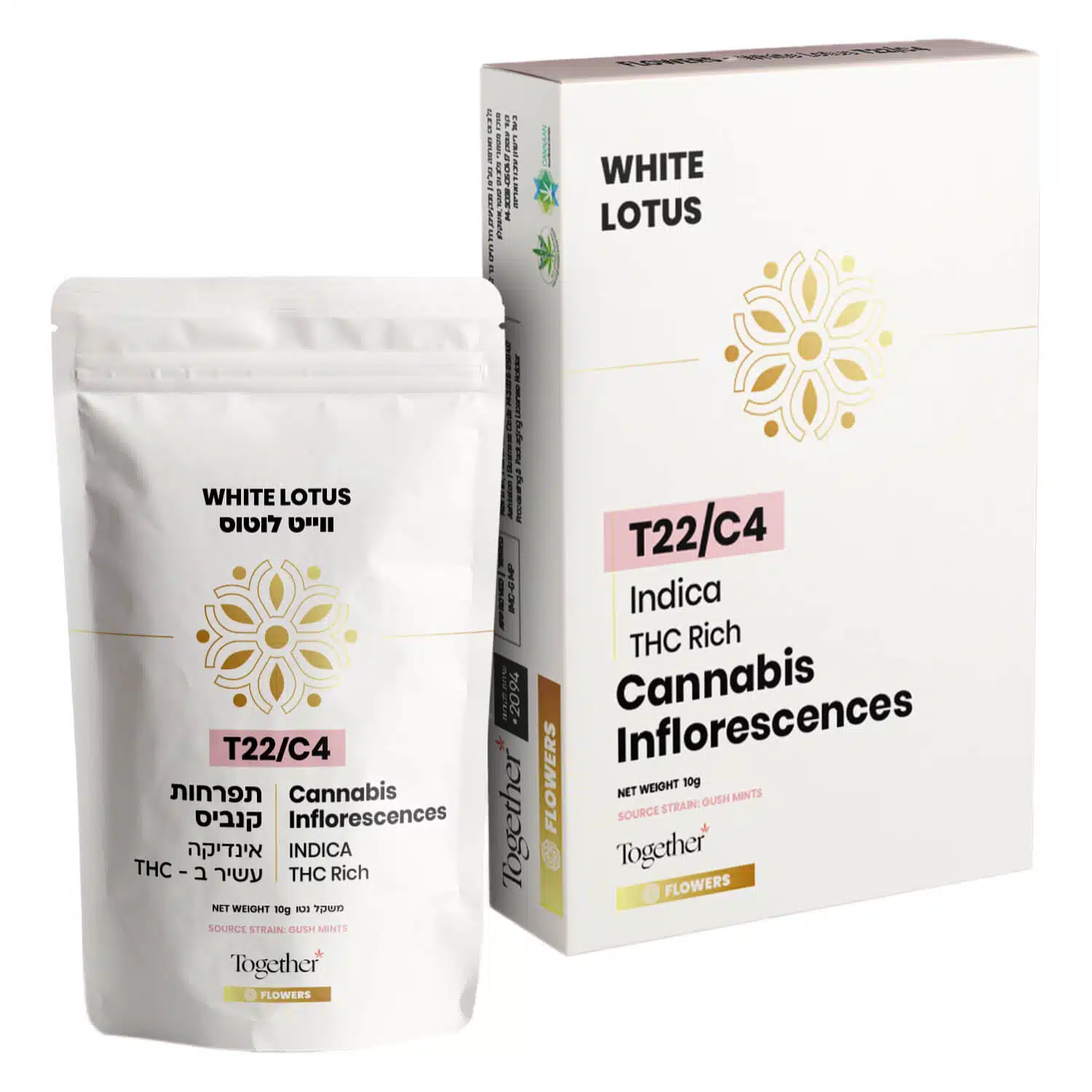 ווייט לוטוס (white lotus) אינדיקה t22/c4