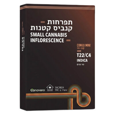 קונגו מיני (congo mini) אינדיקה t22/c4